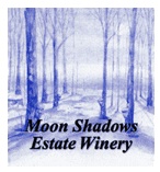 Moon Shadows