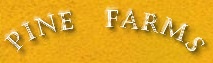 Pine Farms Cyder & Fruit Winery
